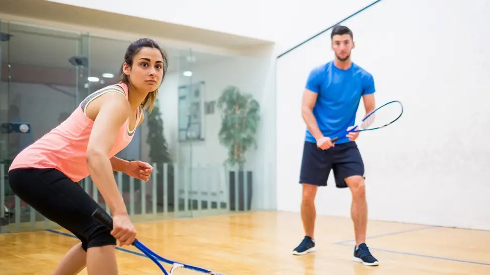 Squash Court