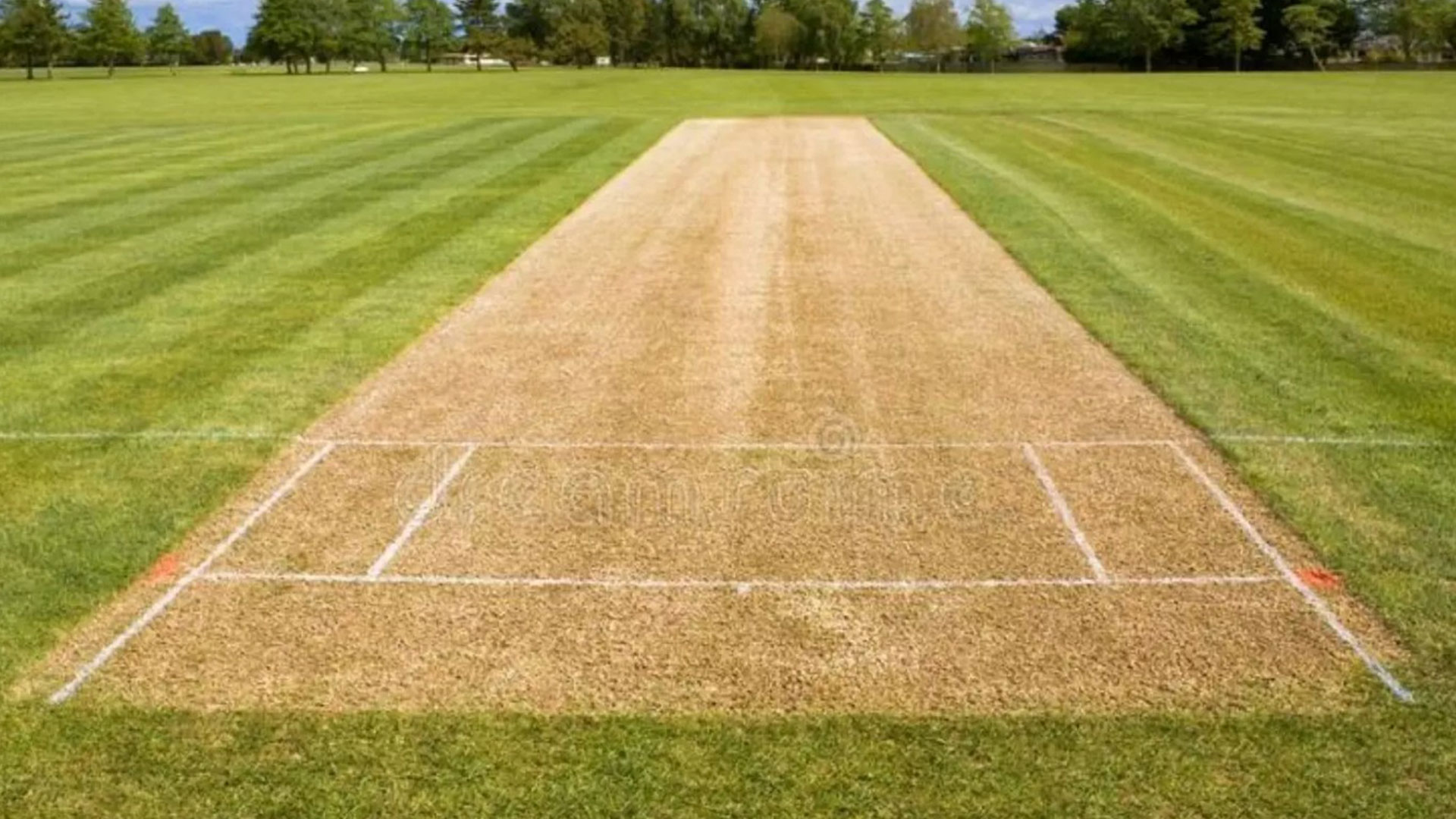Cricket Pitch