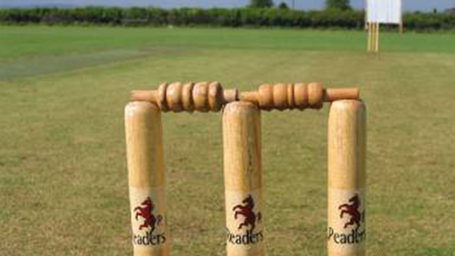 Cricket Pitch